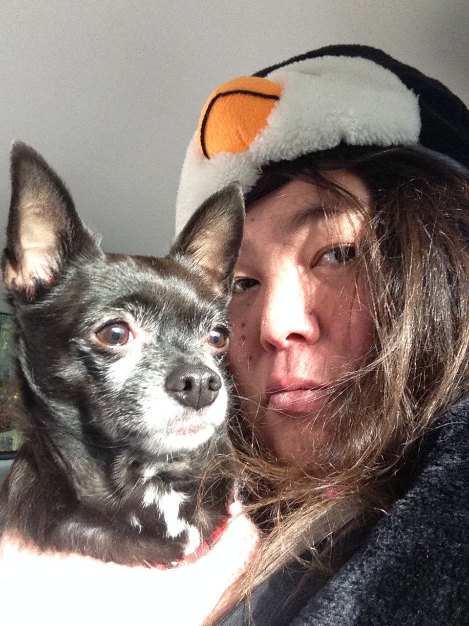 Emi wears a penguin hat while holding her chihuahua, Adrie