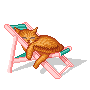 cat snoring, blowing bubbles in a beach chair