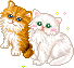 an orange cat and white cat are friends
